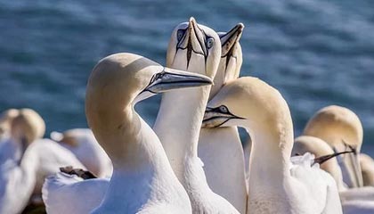 丽江最新的高价医保卡惠民保险代扣怎么取消掉了方法分享(丽江惠民医保怎么报销教程)