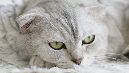 丽江最新的高价医保个人账户余额微信查询方法分享(丽江医保查询个人账户明细怎么查微信教程)