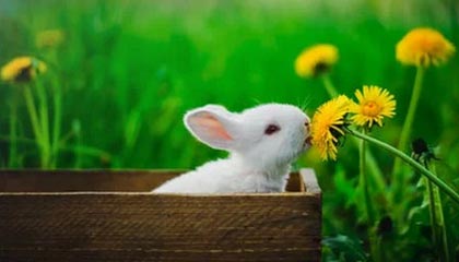 丽江最新的高价医保个人账户余额微信查询方法分享(丽江医保查询个人账户明细怎么查微信教程)